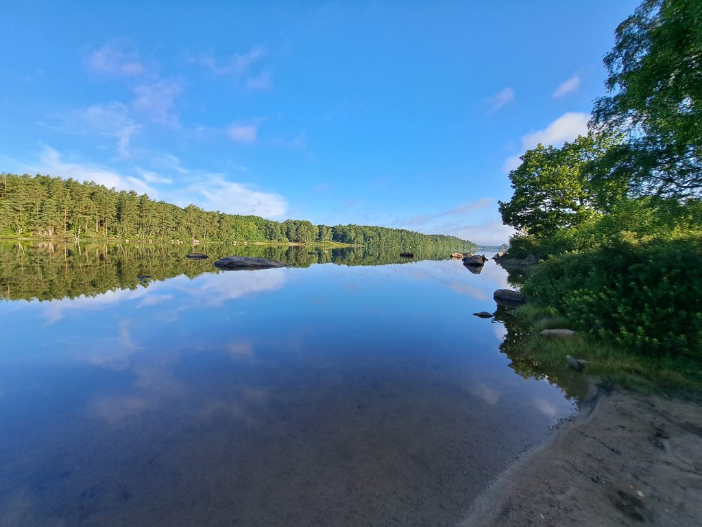 Ruhiger See mit Wald in Schweden