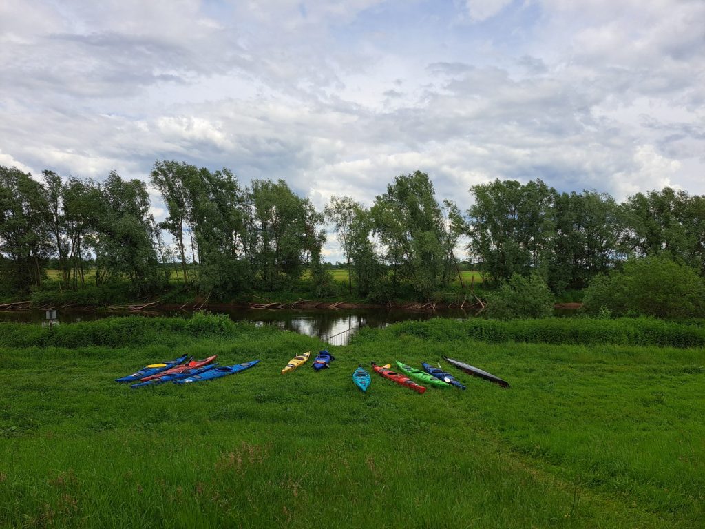 Kajaks auf einer Wiese an der Aller