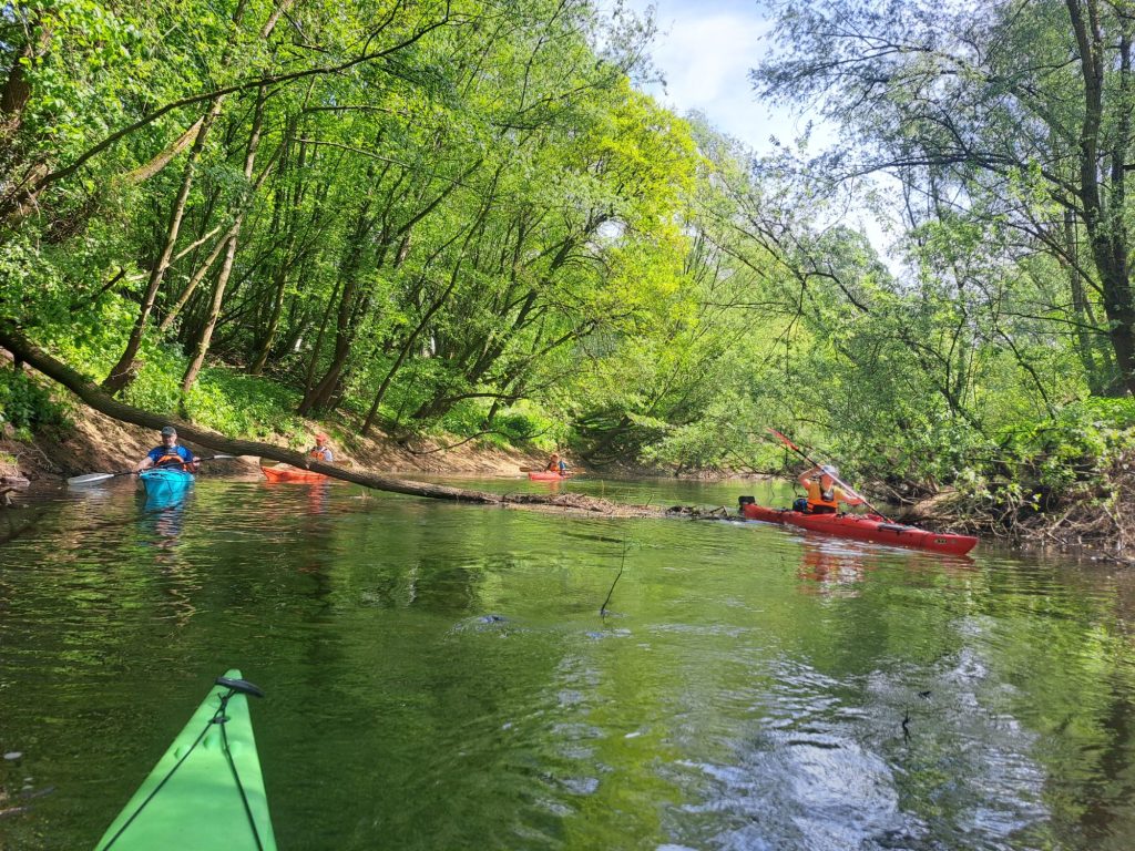 Paddler auf der von Bäumen gesäumten Ems